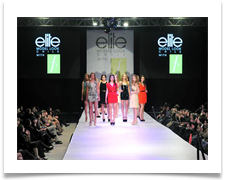 Pasarela 30 mts. largo x 3 x 1 mts. PVC.